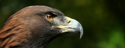 Adlerwarte Berlebeck
