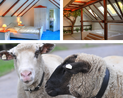 Urlaub im Landhaus Wittensiek