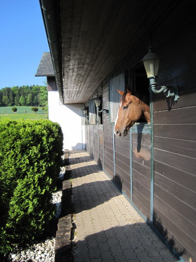 Stallungen